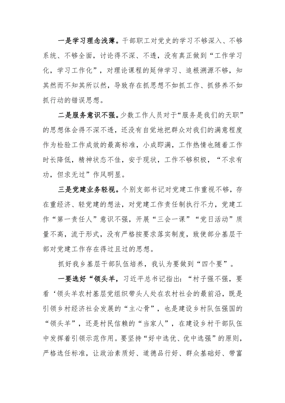 以高质量党建引领农村队伍建设党课讲稿.docx_第2页