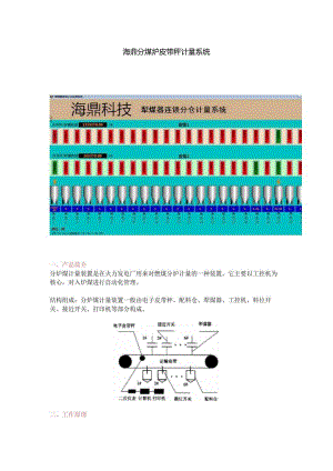 分煤炉皮带秤计量系统.docx