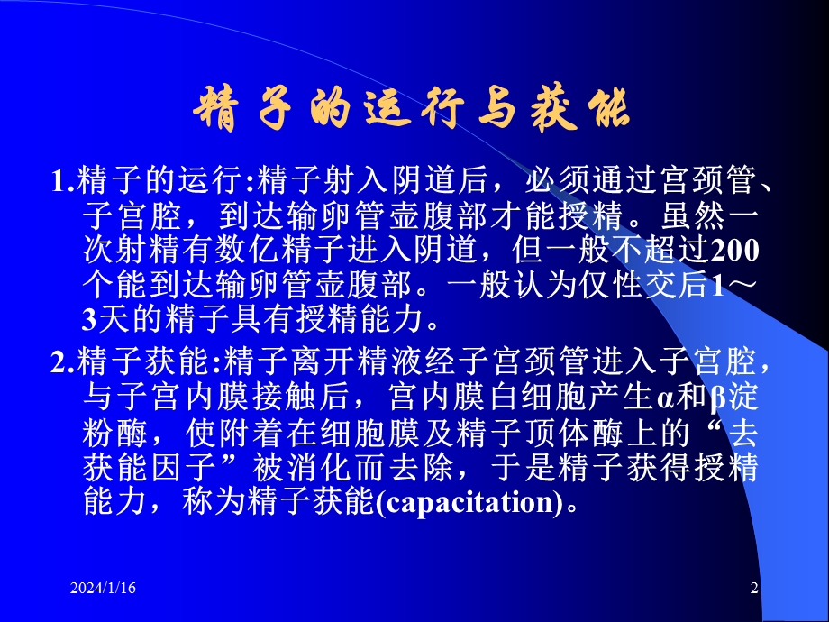 妊娠生理与诊断.ppt_第2页