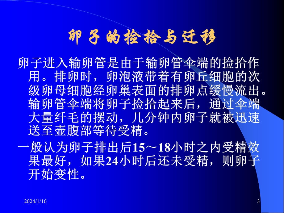 妊娠生理与诊断.ppt_第3页