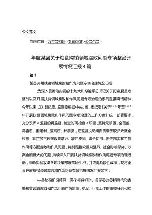 年度某县关于粮食购销领域腐败问题专项整治开展情况汇报4篇.docx