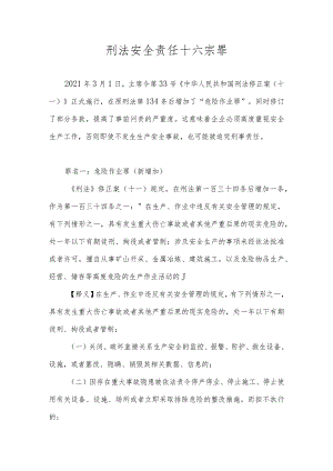 刑法安全责任十六宗罪.docx