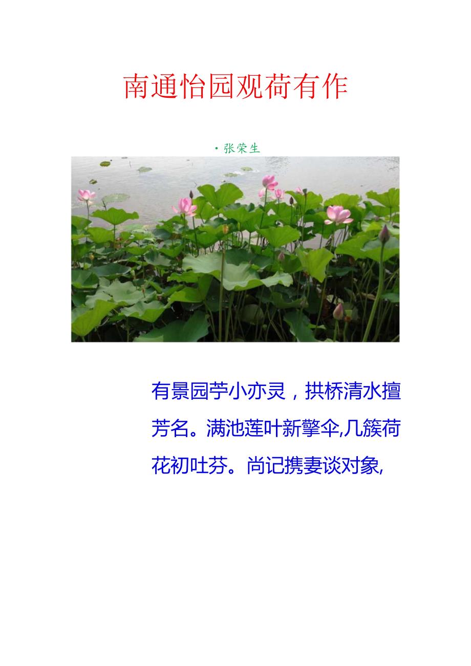 南通怡园观荷有作.docx_第1页