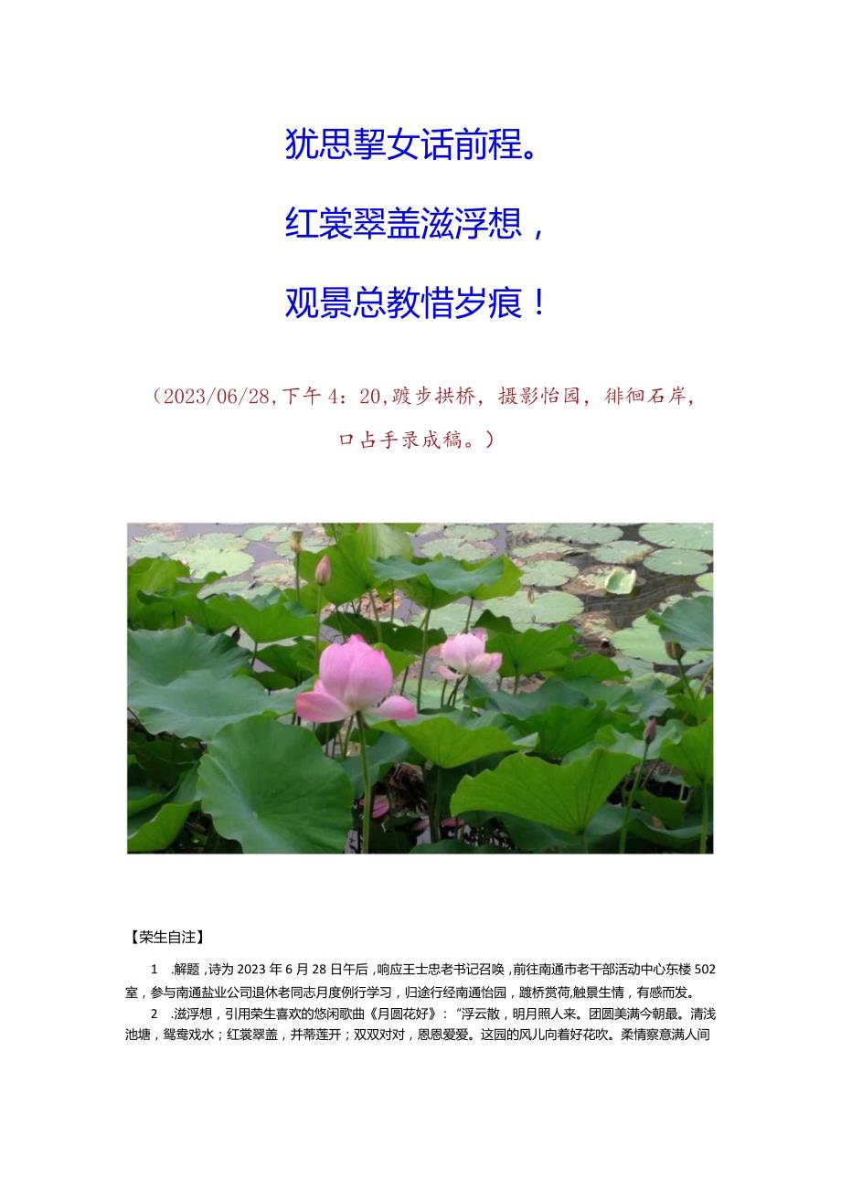 南通怡园观荷有作.docx_第2页