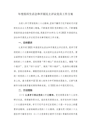 年度组织生活会和开展民主评议党员工作方案.docx