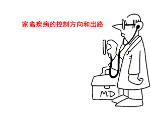 家禽临床用药的思考.ppt