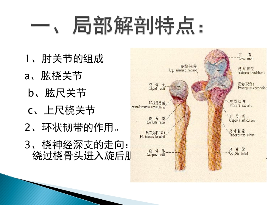 孟氏骨折与盖氏骨折.ppt_第2页