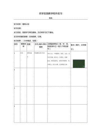 农 学 实 践 教 学 校 外 植物认知（寒假作业）.docx