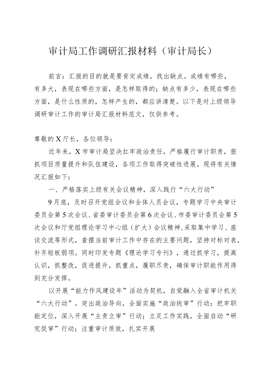 审计局工作调研汇报材料（审计局长）.docx_第1页