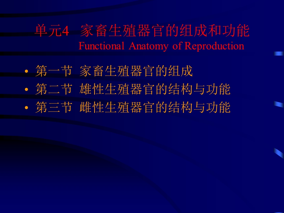 家畜繁殖原理与应用技术 第四单元 家畜生殖器官的组成和功能.ppt_第2页