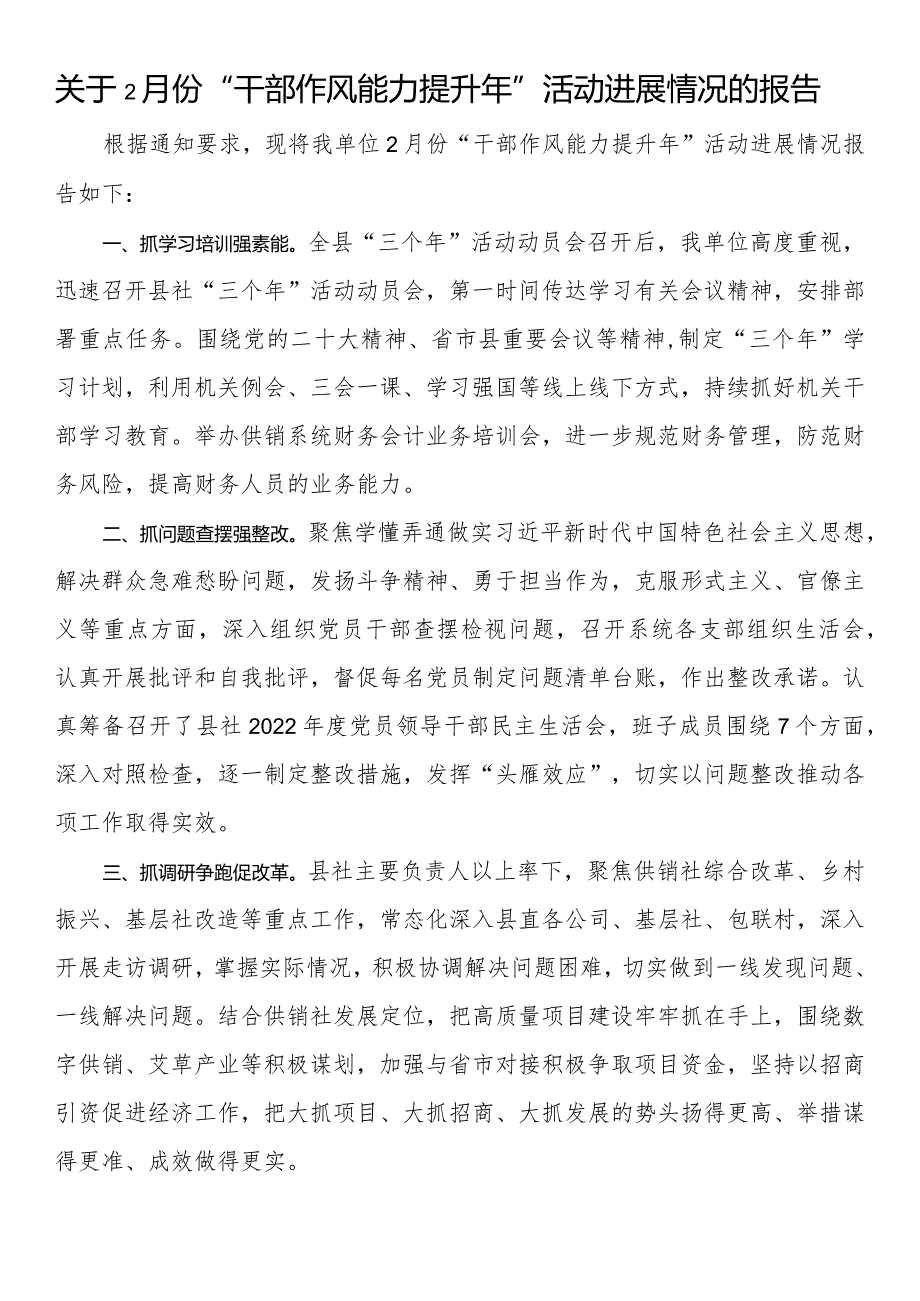 关于2月份“干部作风能力提升年”活动进展情况的报告.docx_第1页