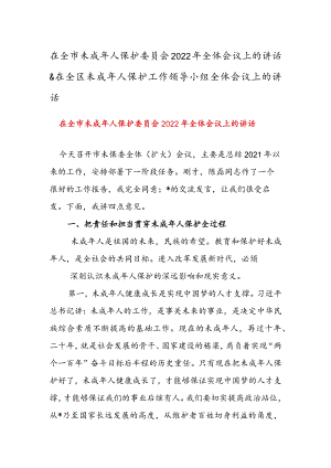 在全市未成年人保护委员会2022年全体会议上的讲话 & 在全区未成年人保护工作领导小组全体会议上的讲话.docx