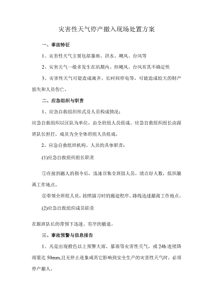 9.灾害性天气停产撤人现场处置方案.docx