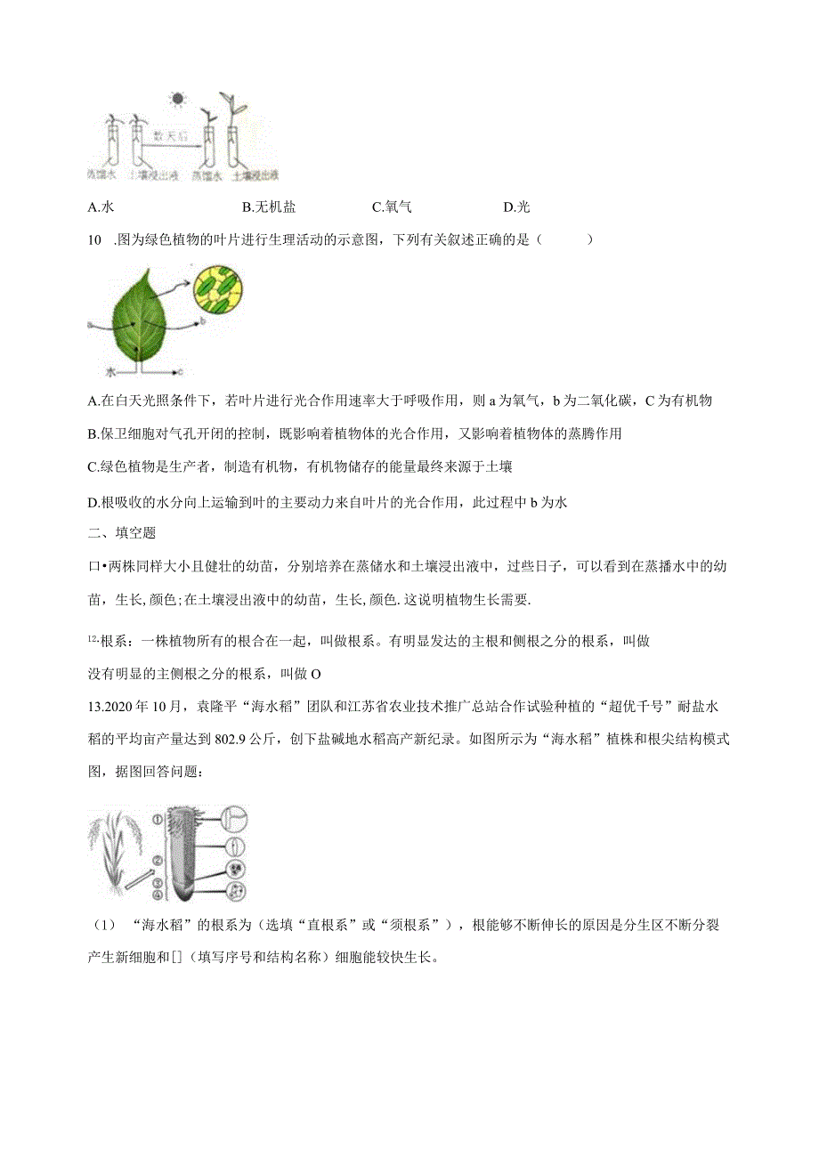 4.3植物的根与物质吸收 同步练习（含解析）.docx_第2页