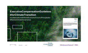 wtw-气候变迁高管薪酬指南（英）-2021.11-34正式版.docx