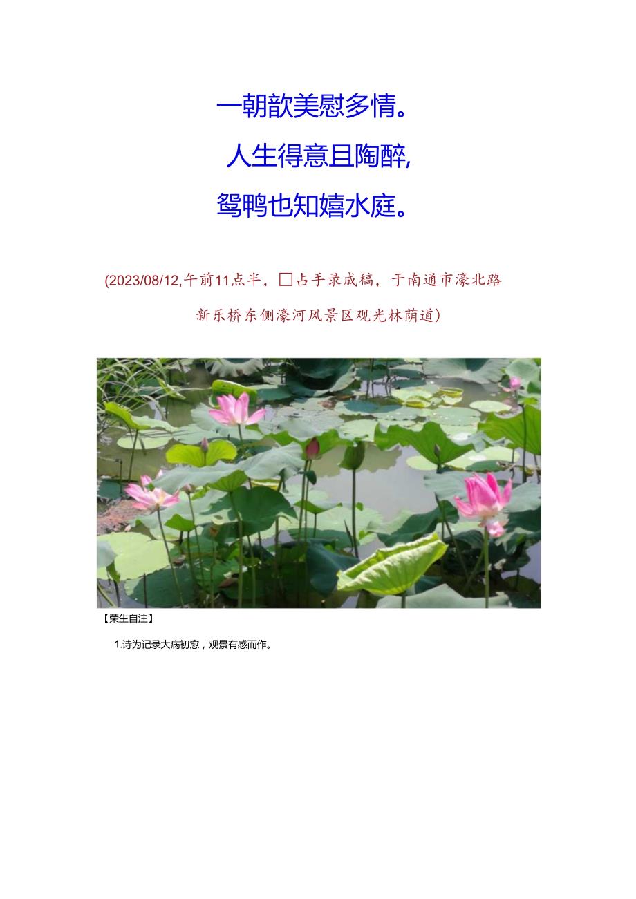 万濠城理发返经新乐桥观荷.docx_第2页