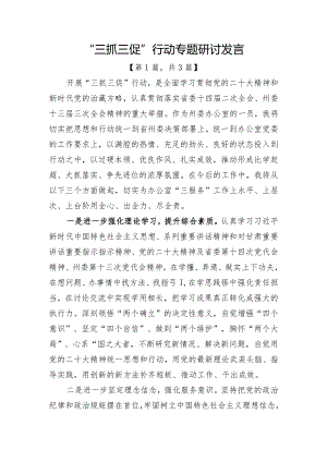 “三抓三促”行动专题研讨发言材料共-三篇.docx