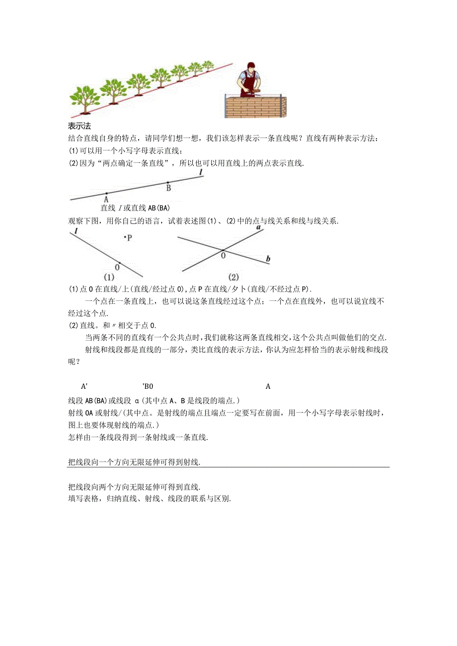 41直线、射线、线段教案.docx_第3页