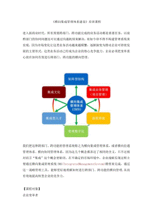 《横向集成管理体系建设》培训课程.docx