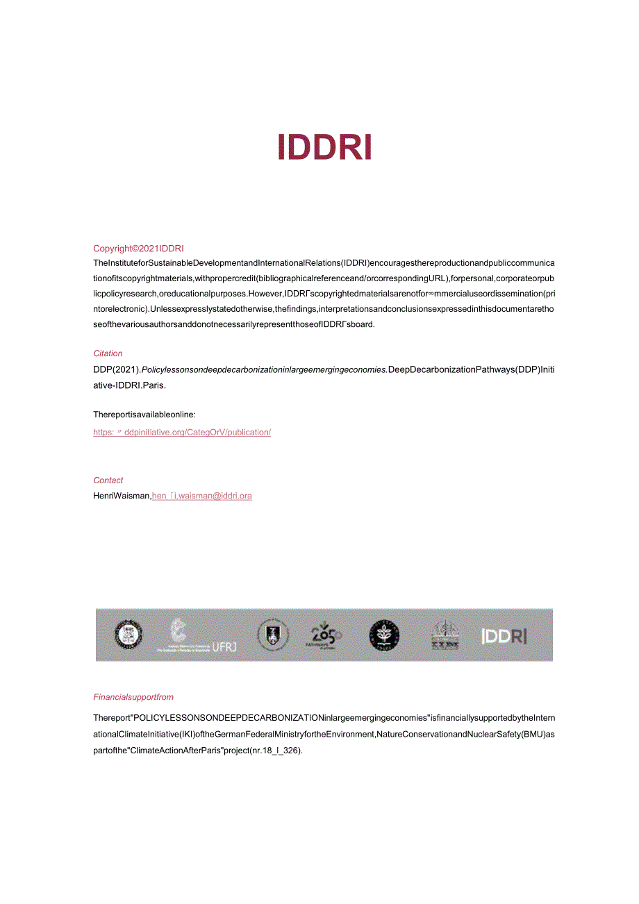 DDP-深度脱碳的政策教训-在大型新兴经济体（英）-2021.11-86正式版.docx_第2页