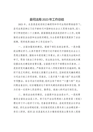 2023年工作总结及2024年工作计划精选合辑（司法局+统计）.docx