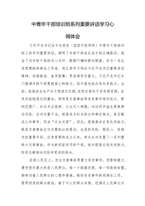 中青年干部培训班系列重要讲话学习心得体会.docx