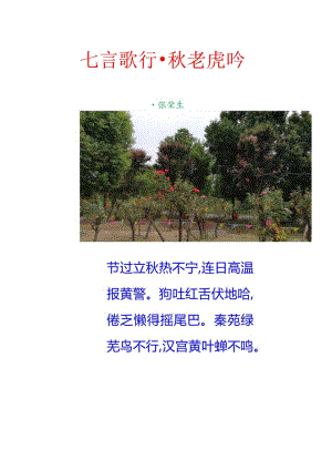 七言歌行-秋老虎吟.docx