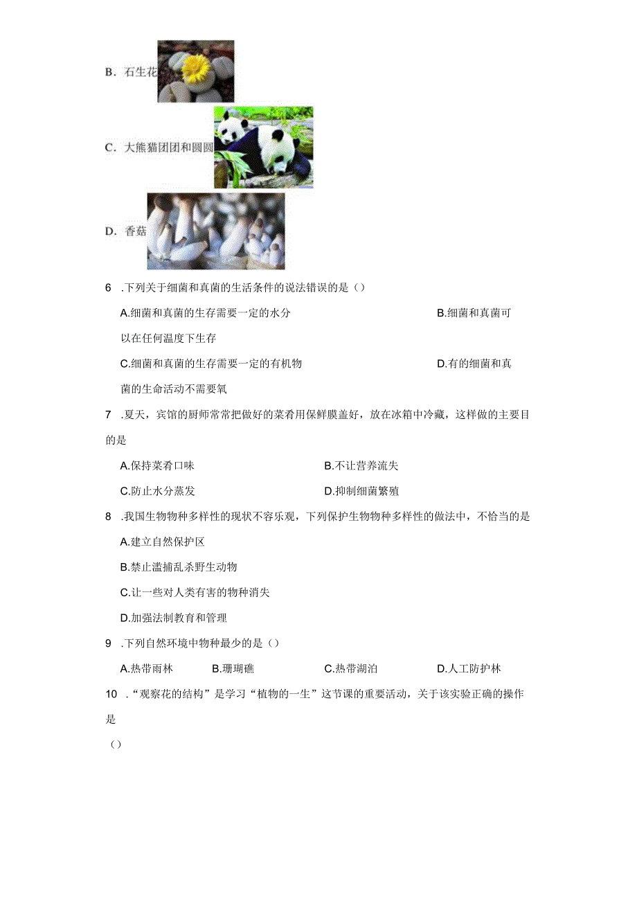 7.1 万物生长靠太阳 同步练习（含解析）.docx_第2页