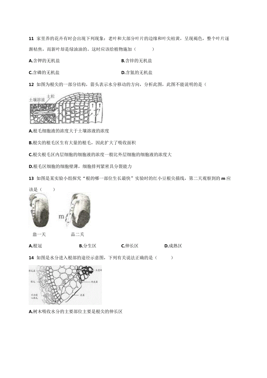 4.3植物的根与物质吸收 同步练习（含解析） .docx_第2页