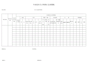 专业技术人才调查汇总表模板.docx