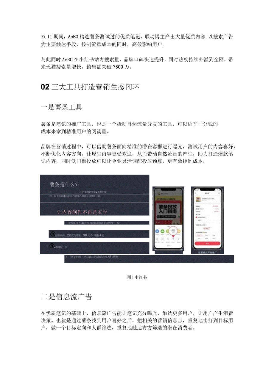 AOEO×小红书新国货品牌的爆红逻辑.docx_第3页