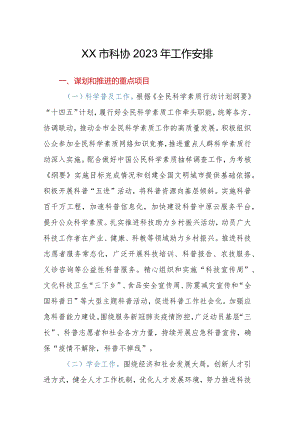 XX市科协2023年工作安排.docx