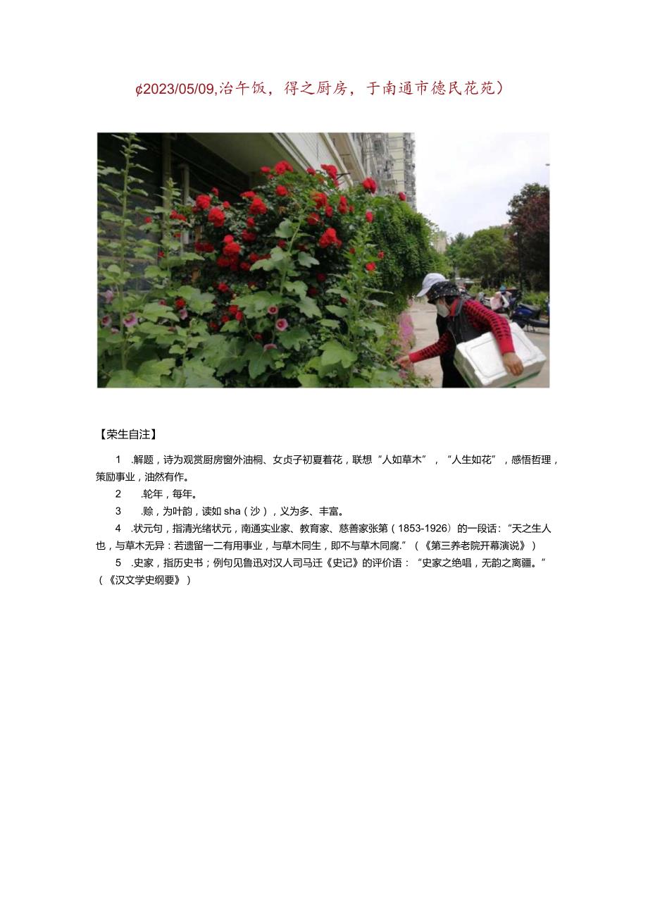 七绝-厨房窗外夏花盛开黄白讨喜感想有吟.docx_第2页