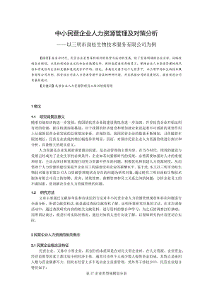 中小民营企业人力资源管理及对策分析.docx