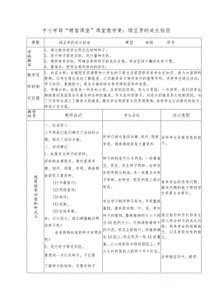 中小学部“精智课堂”课堂教学案：绿豆芽的成长秘密.docx