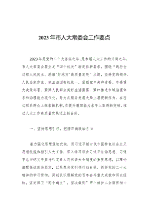 2023年市人大常委会工作要点.docx