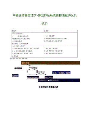 中西医结合药理学-传出神经系统药物课程讲义及练习.docx