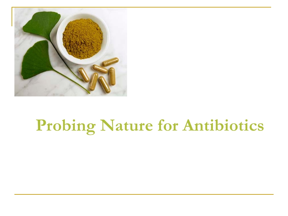 探索抗生素的本质（英文PPT）Probing Nature for Antibiotics.ppt_第1页