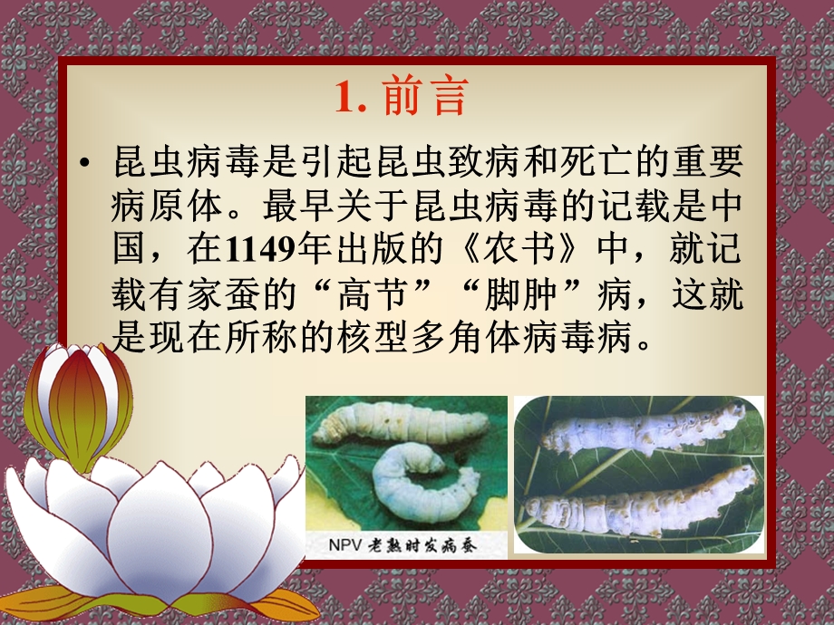 [生物学]昆虫病毒简介.ppt_第3页