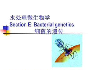 水处理微生物学—细菌的遗传（中英文对照） .ppt