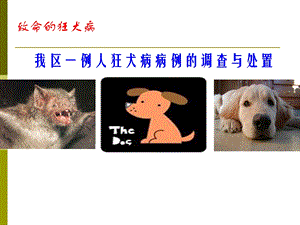 狂犬病的预防与控制.ppt