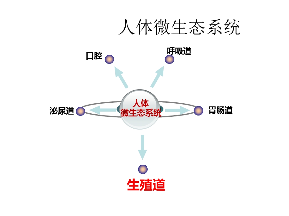 阴道微生态临床应用的新理念.ppt_第3页