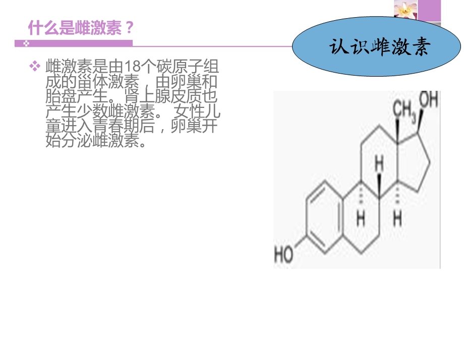 雌激素与女性健康.ppt_第3页