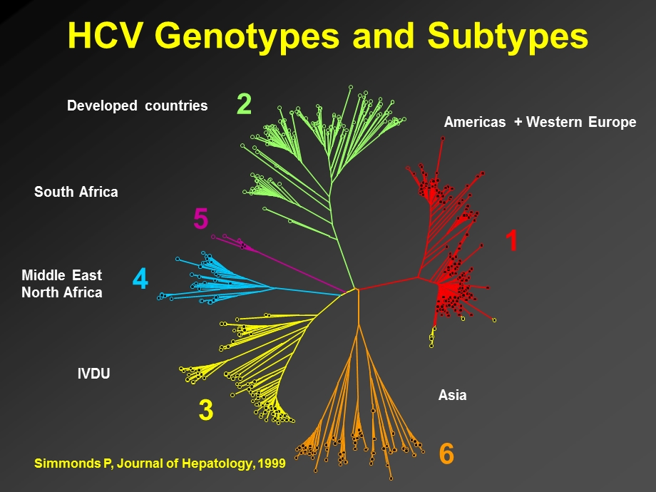 Advances in HCV Therapy.ppt_第3页