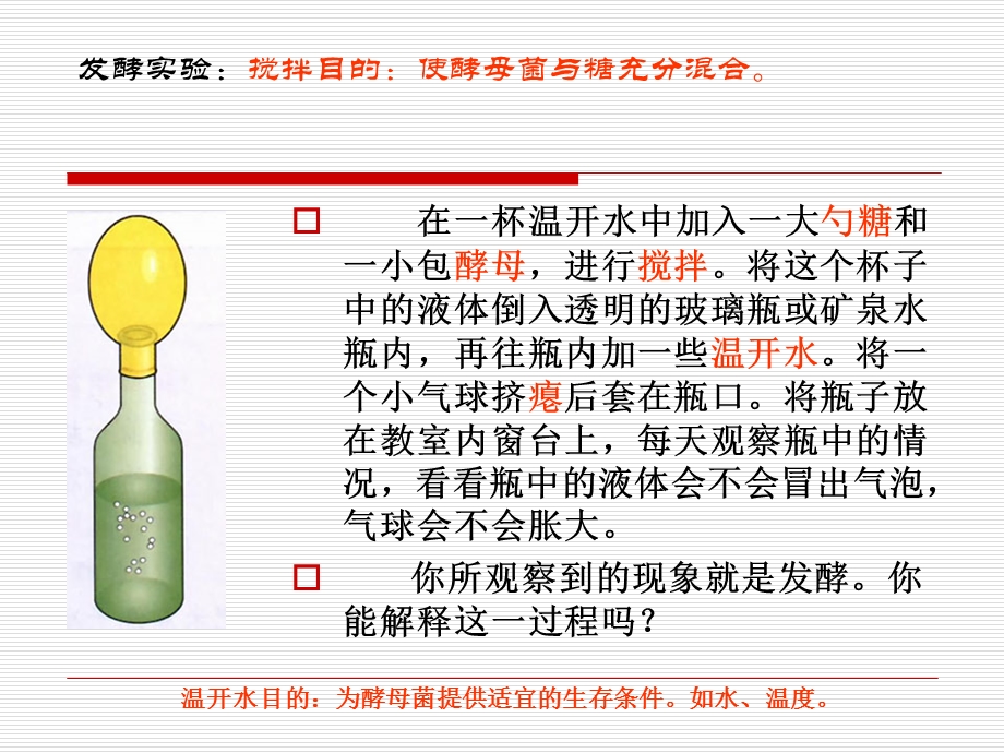 人类对细菌和真菌的利用.ppt_第2页