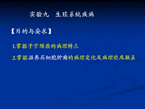 生殖系统疾病ppt演示文稿.ppt