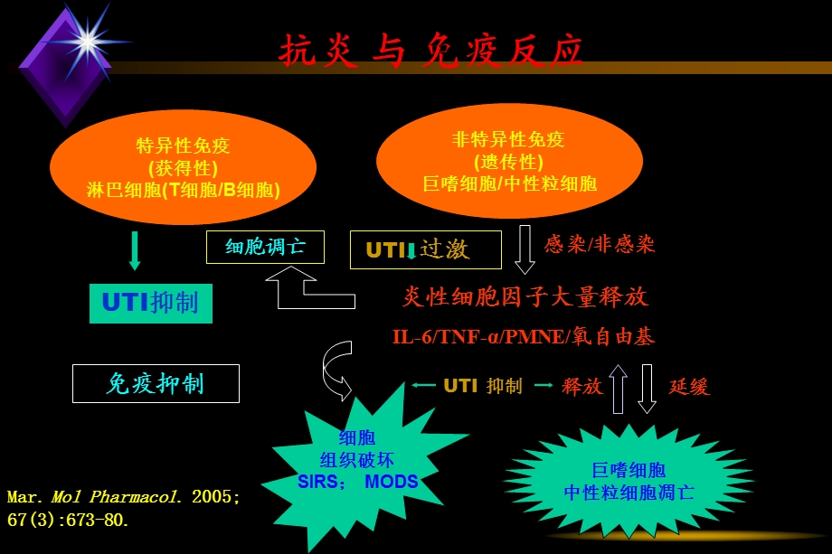 炎症反应与乌司他丁临床应用.ppt_第3页