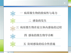 畜牧微生物学 第十三章 病原微生物与感染【PPT】 .ppt