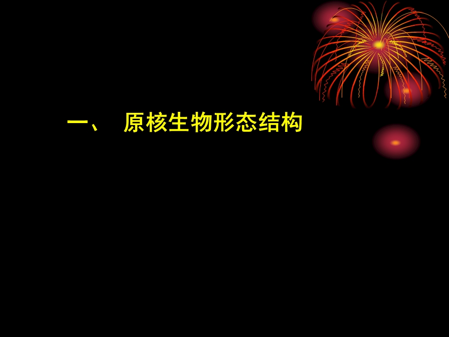 园林植物病理学第三章植物病原细菌和其它原核生物.ppt_第3页