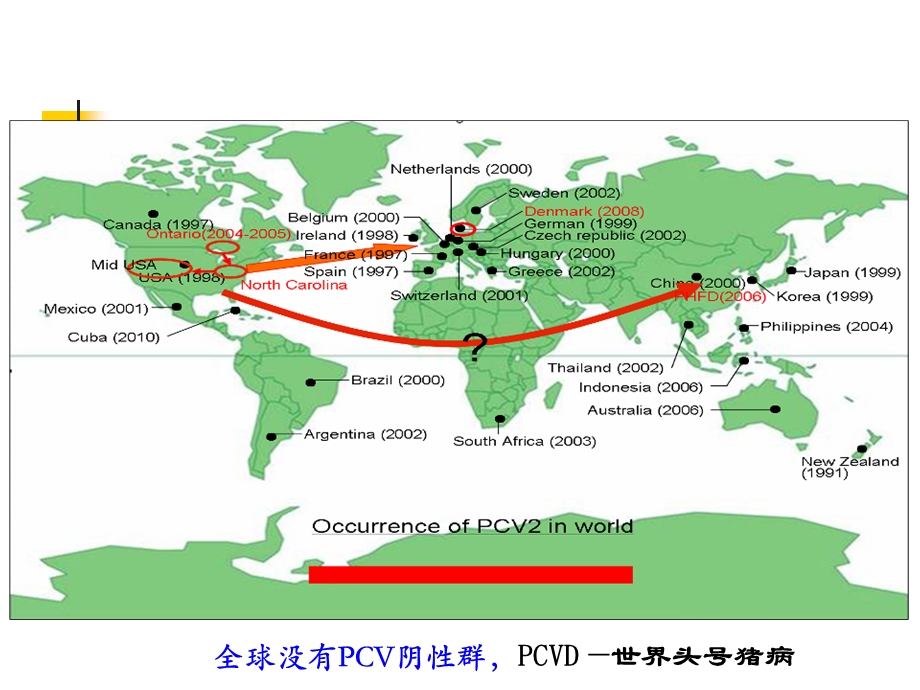 猪圆环病毒最新进展.ppt_第2页